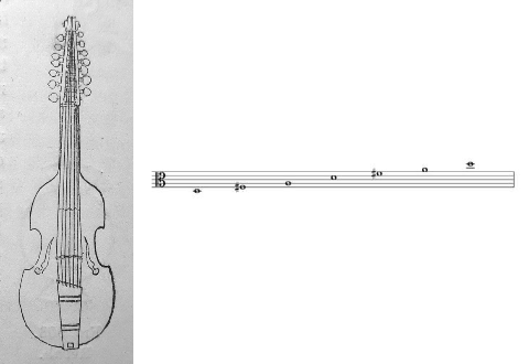 Archet de Violon, Histoire, parties, formes diverses