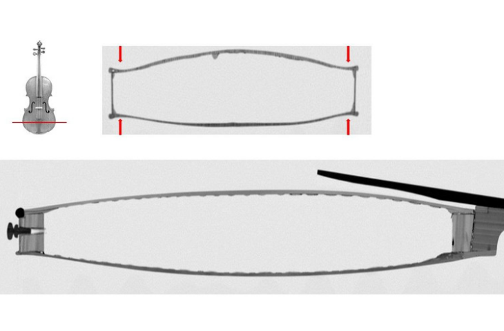 Transverse and sagittal view of the viola by Johannes Cuypers, inv. 2833